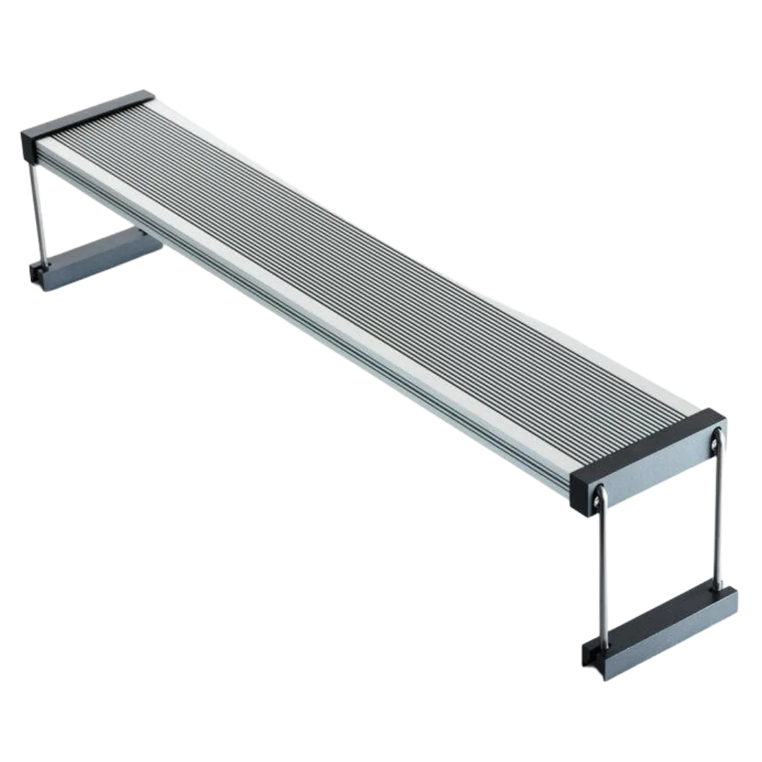 Lumière