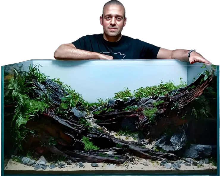 Luís Cardoso, Portuguese Aquascaper
