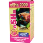 eSHa 2000