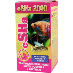 eSHa 2000