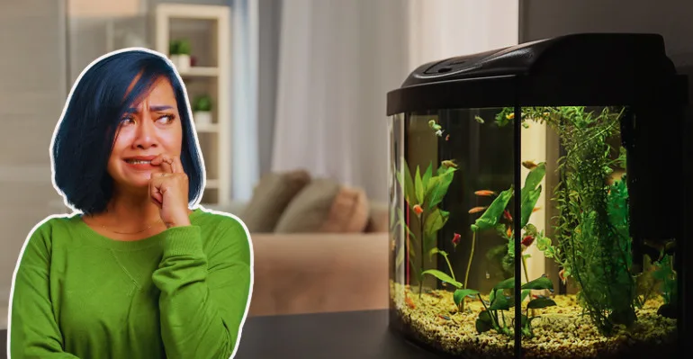 woman remorseful over aquarium mistakes