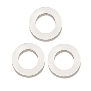 Strideways PRO CO2 Regulator Plus - Gasket