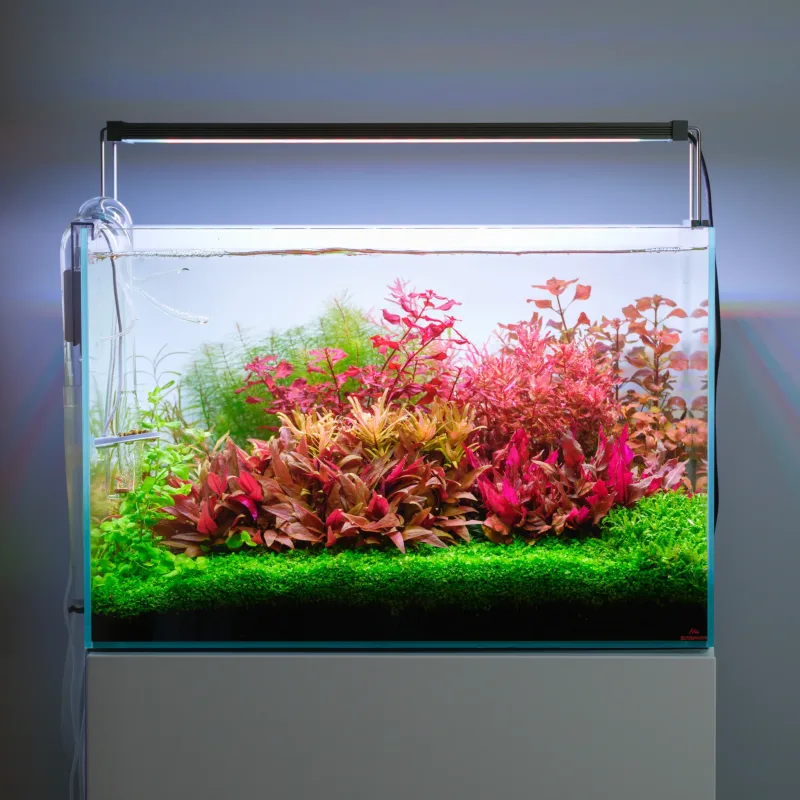 Twinstar Light 600S V LightControl PRO Aquacape 60 PS