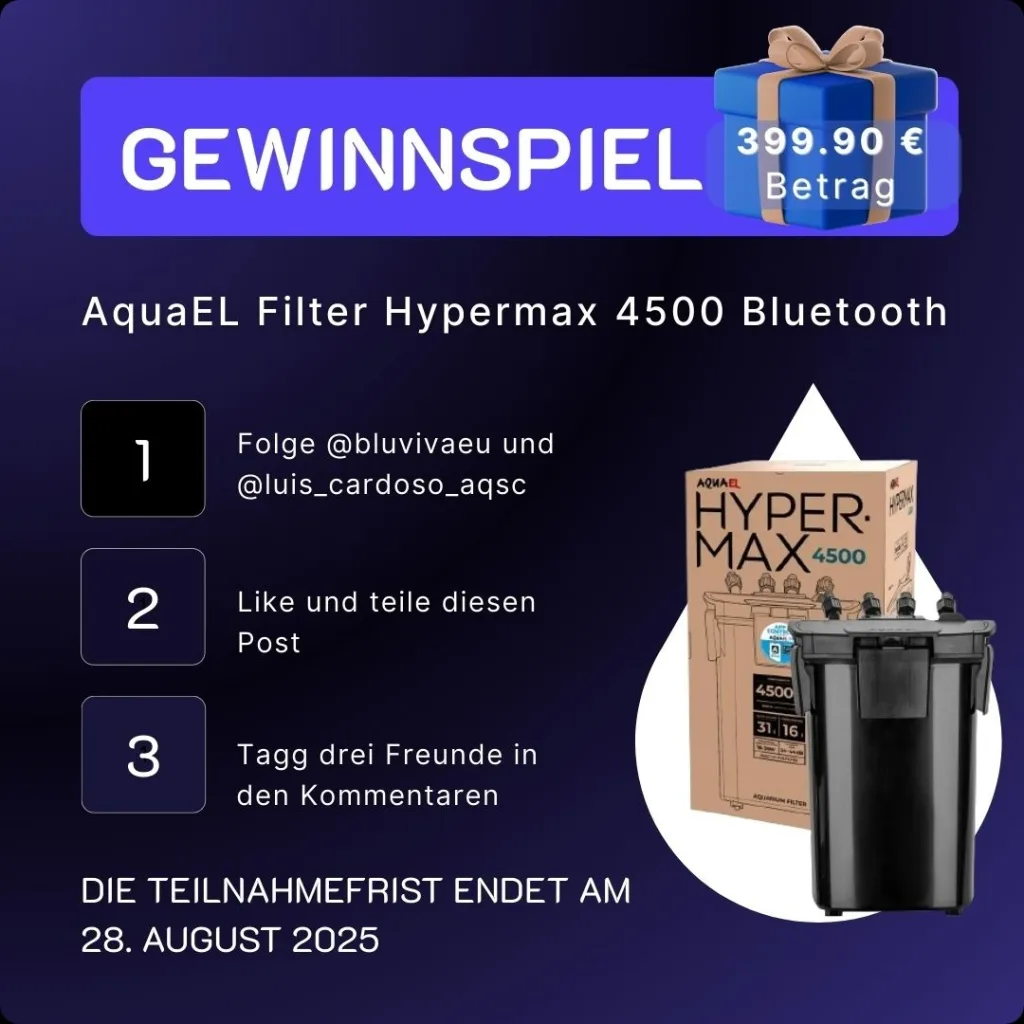 Giveaway graphic