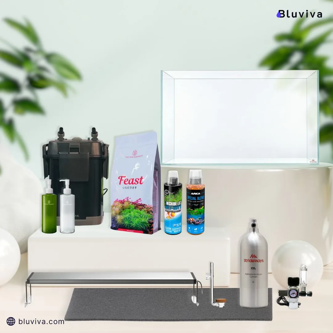 Bluviva Advanced Kit - Bluviva