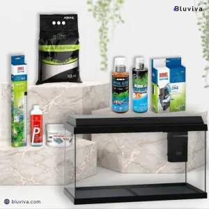 Bluviva Starter Kit