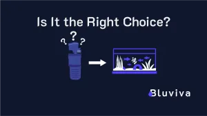 Internal Aquarium Filters: Are They Right for Your Tank?