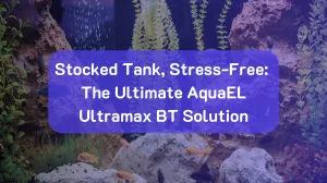Stocked Tank Solutions: Conquering Bio-Load with the AquaEL Ultramax BT Filter