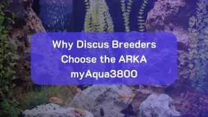 8 Reasons Discus Breeders Choose the ARKA myAqua3800 RO System