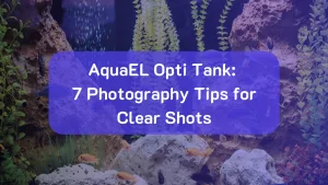 7 Photography Tips Using AquaEL Opti Tank for Clear Shots