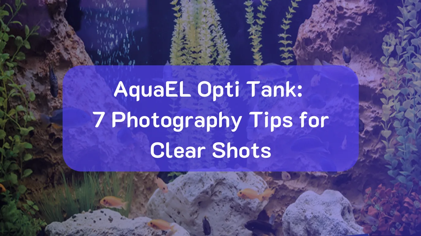 AquaEL Opti Tank clear aquarium for sharp aquascape photography