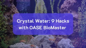 9 Maintenance Hacks Using OASE BioMaster for Crystal Water