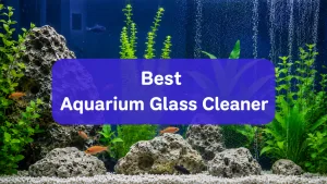 Best Aquarium Glass Cleaner