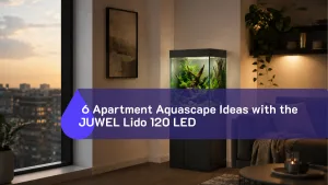 6 Apartment Aquascape Ideas with the JUWEL Lido 120 LED