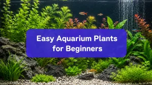 10 Best Easy Aquarium Plants for Beginners