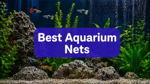 Best Aquarium Nets