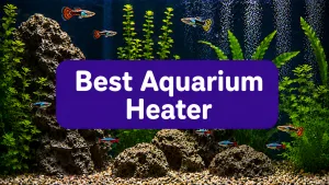 Best Aquarium Heater