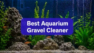 El mejor limpiador de grava para acuarios