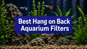 Best Hang on Back Aquarium Filters