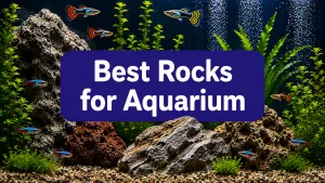Best Aquarium Rocks