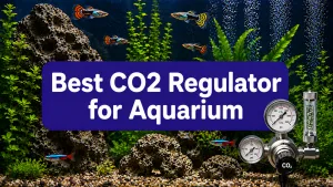 Best CO2 Regulator for Aquarium
