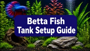 Betta Fish Tank Setup