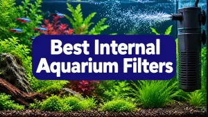 Best Internal Aquarium Filter
