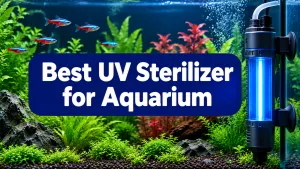 Best UV Sterilizer for Aquarium