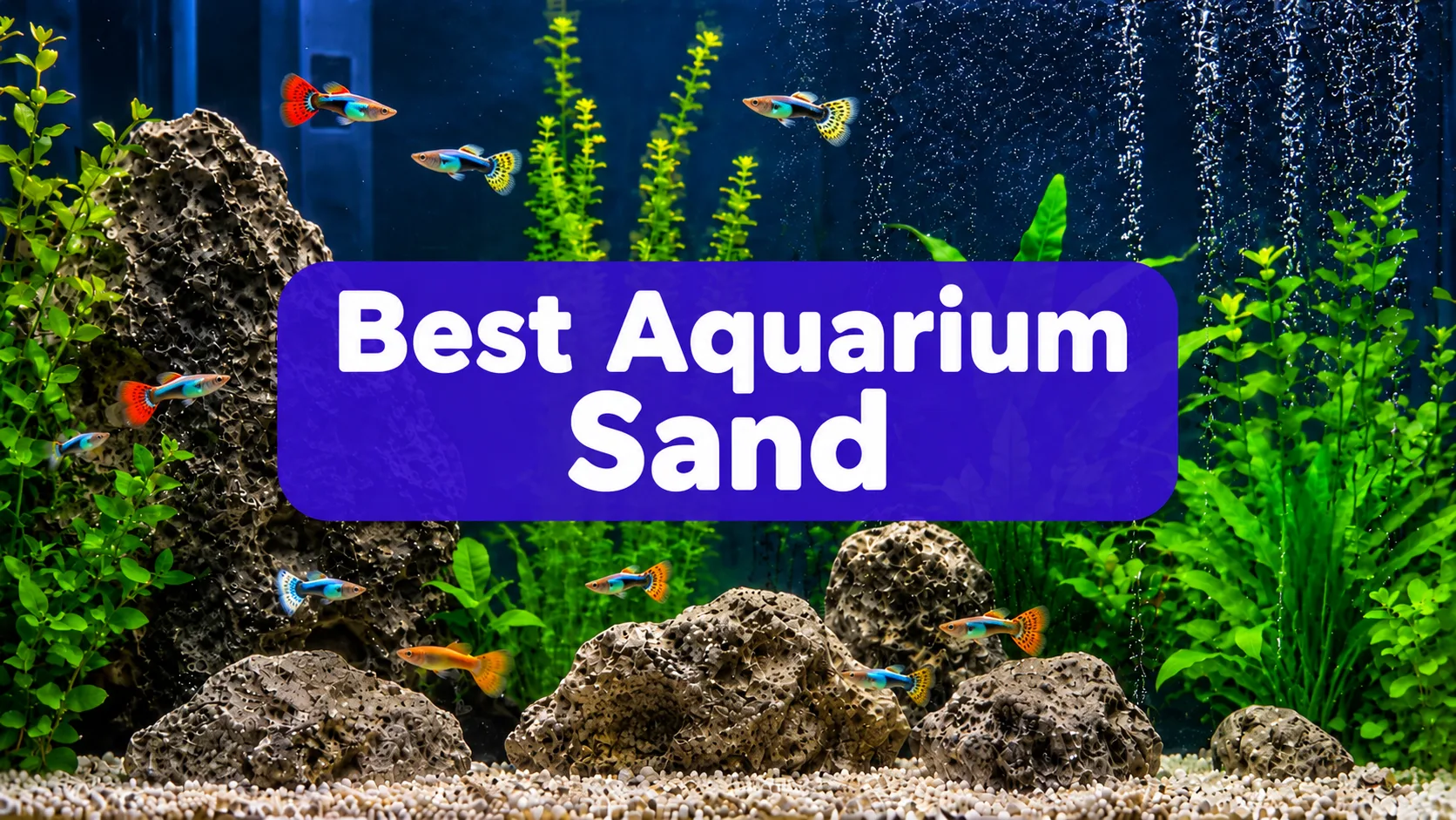 Best Aquarium Sand