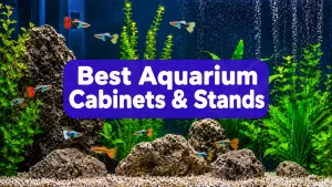 Best Aquarium Cabinets & Stands