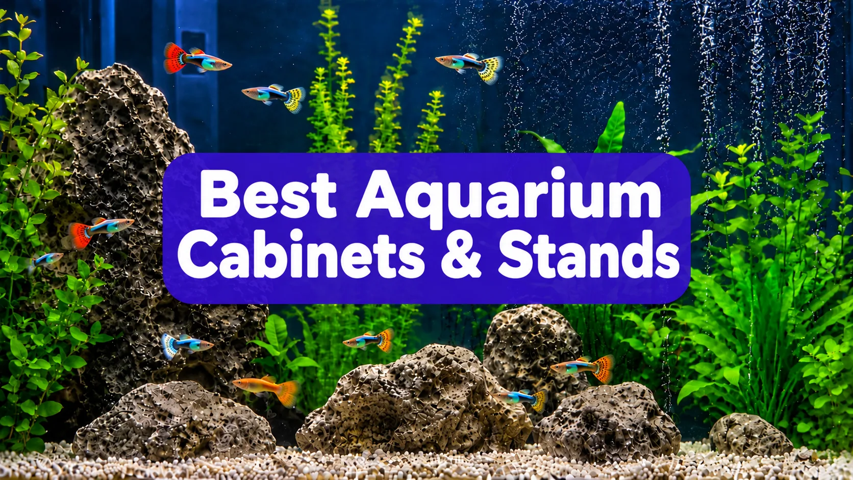 Best Aquarium Cabinets & Stands