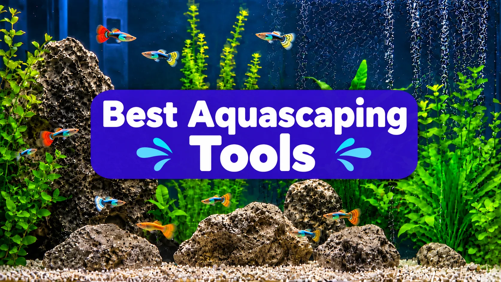 Best Aquascaping Tools