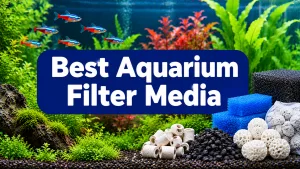 Best Aquarium Filter Media